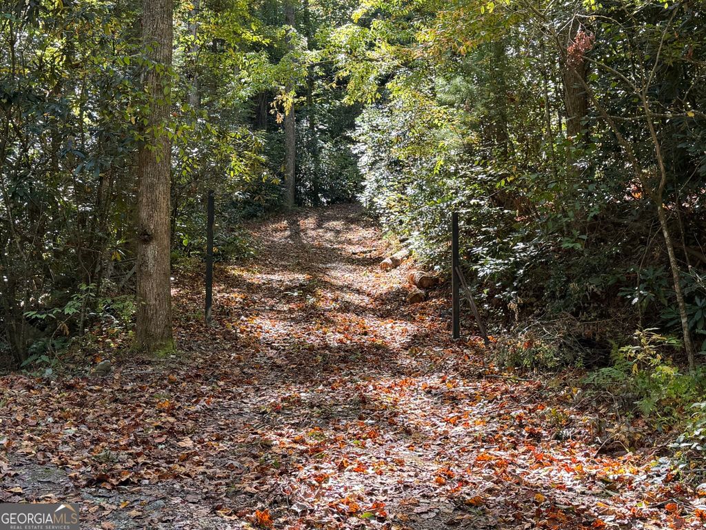 0 Benny Mtn Road LOT A, Clayton, GA 30525 — photo 4