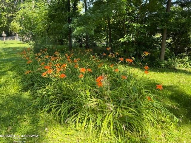 11827 Carney Street, Warren, MI 48089