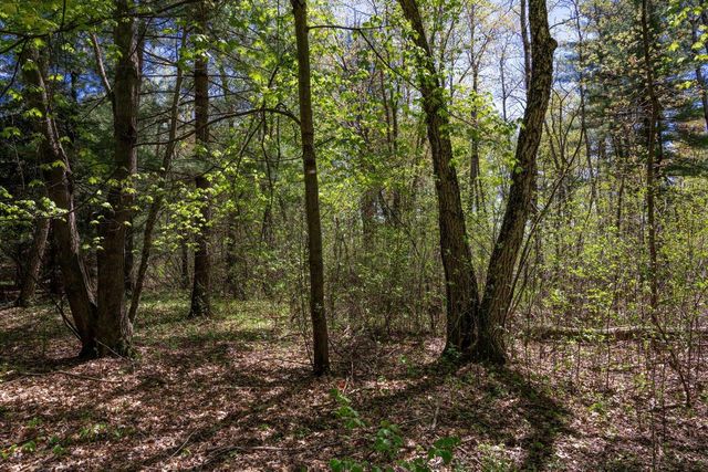 N5190 Treganza Drive, New Lisbon, WI 53950