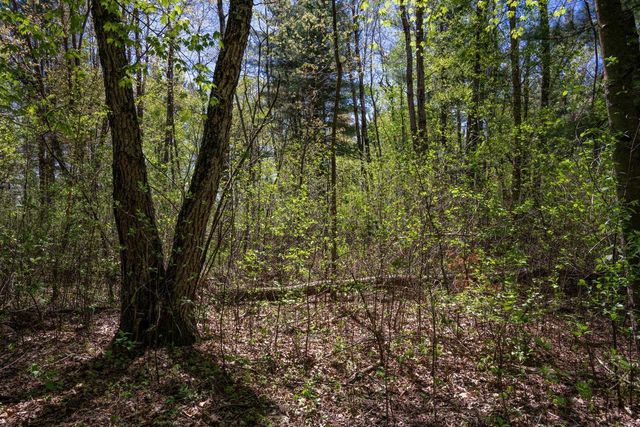 N5190 Treganza Drive, New Lisbon, WI 53950