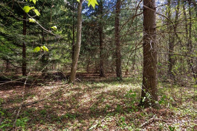 N5190 Treganza Drive, New Lisbon, WI 53950