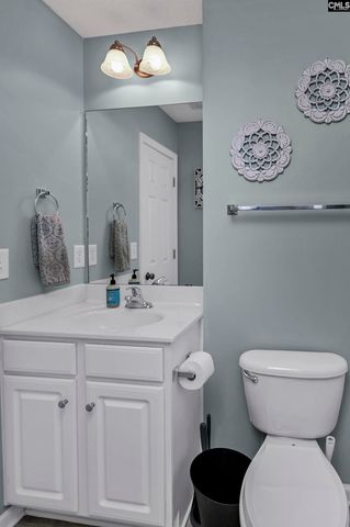 243 Blue Savannah Street, Columbia, SC 29209