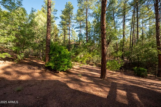 3570 N PINE VIEW Drive, Pine, AZ 85544