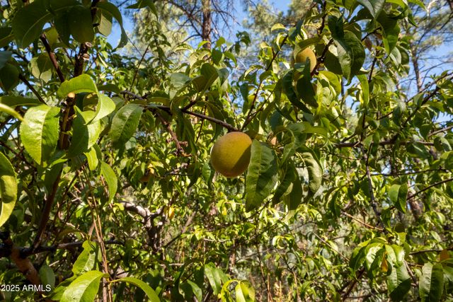 3570 N PINE VIEW Drive, Pine, AZ 85544