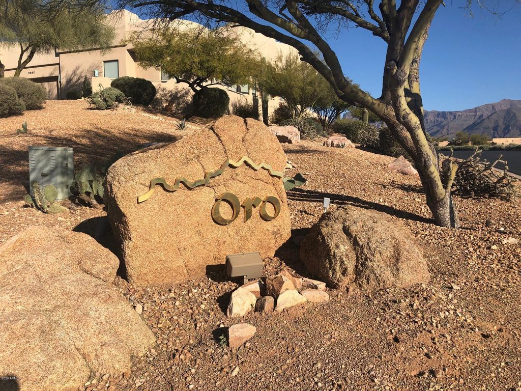 9766 E DEAD SURE Place 10, Gold Canyon, AZ 85118 — photo 3