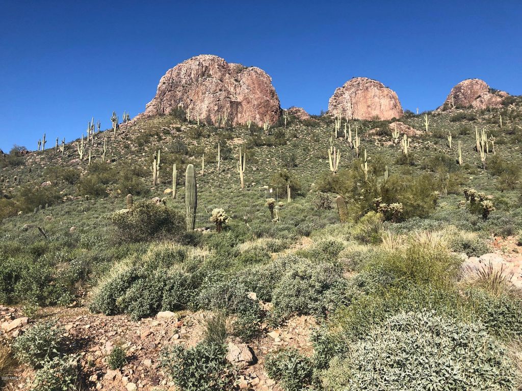 9766 E DEAD SURE Place 10, Gold Canyon, AZ 85118 — photo 4