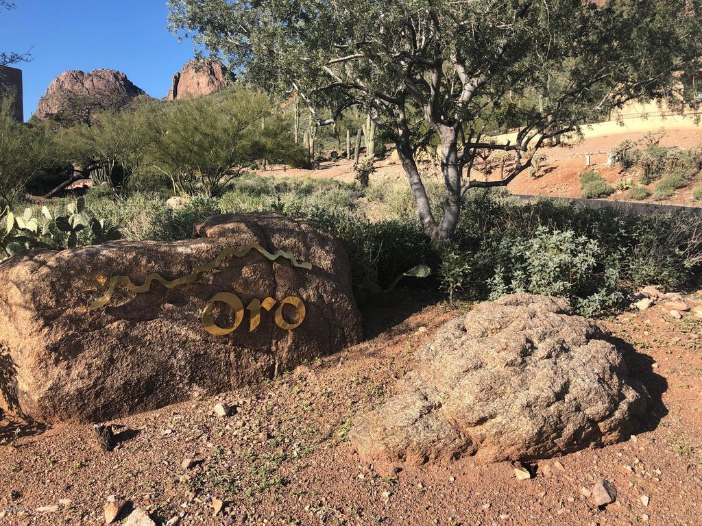 9766 E DEAD SURE Place 10, Gold Canyon, AZ 85118 — photo 5