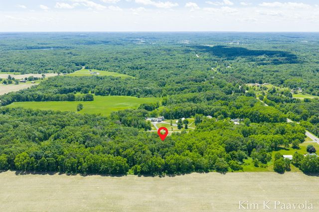 12909 Victory Woods Drive Ne, Vergennes Twp, MI 49331