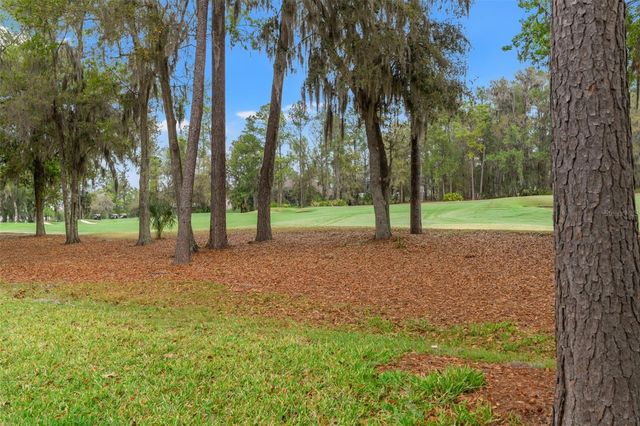 19571 LILY POND COURT, Brooksville, FL 34601