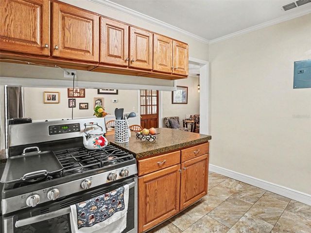 315 W 11TH AVENUE, Mount Dora, FL 32757
