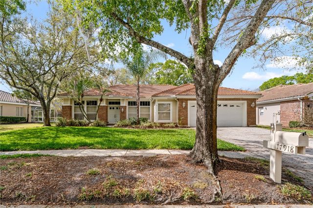 17918 HOLLY BROOK DRIVE, Tampa, FL 33647