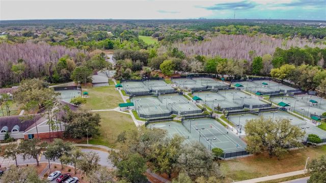 17918 HOLLY BROOK DRIVE, Tampa, FL 33647