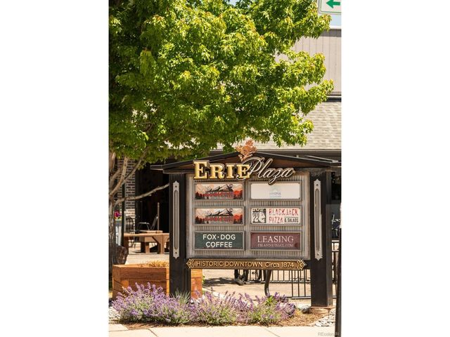 729 Gold Hill Dr, Erie, CO 80516