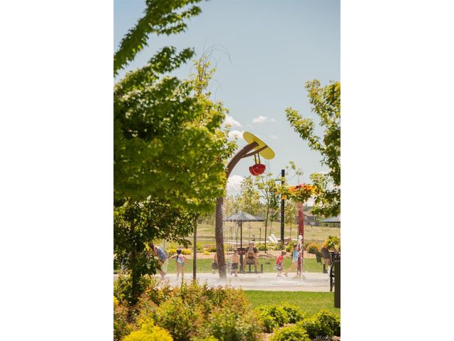 729 Gold Hill Dr, Erie, CO 80516