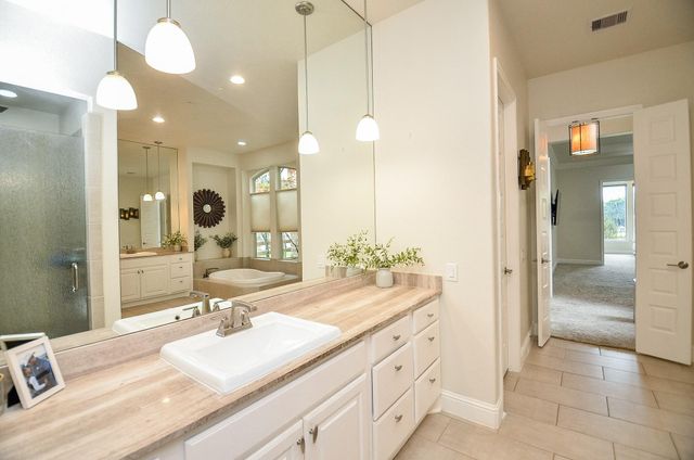 29818 Deer Crest Lane, Fulshear, TX 77406