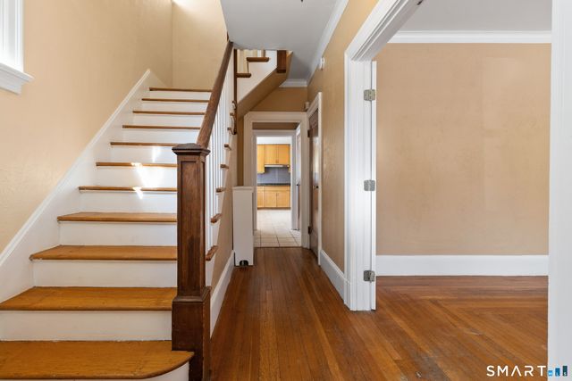 1955 Chapel Street, New Haven, CT 06515
