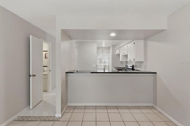 16143 RAMBLING VINE DRIVE E, Tampa, FL 33624