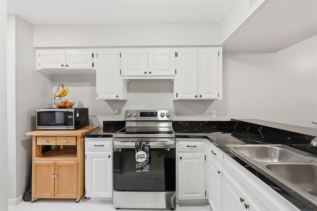 16143 RAMBLING VINE DRIVE E, Tampa, FL 33624