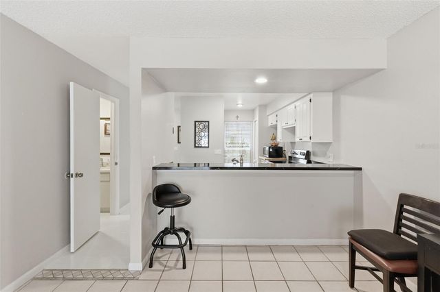 16143 RAMBLING VINE DRIVE E, Tampa, FL 33624