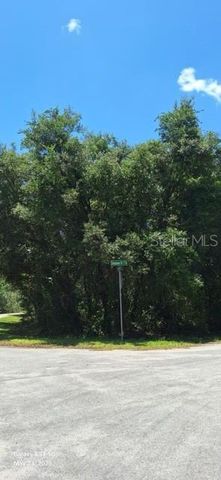 SEQUOIA DRIVE Lot 5, Ocklawaha, FL 32179