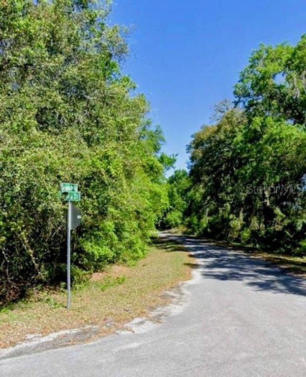 SEQUOIA DRIVE Lot 5, Ocklawaha, FL 32179