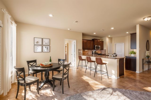 513 Gannet Trail, Argyle, TX 76226