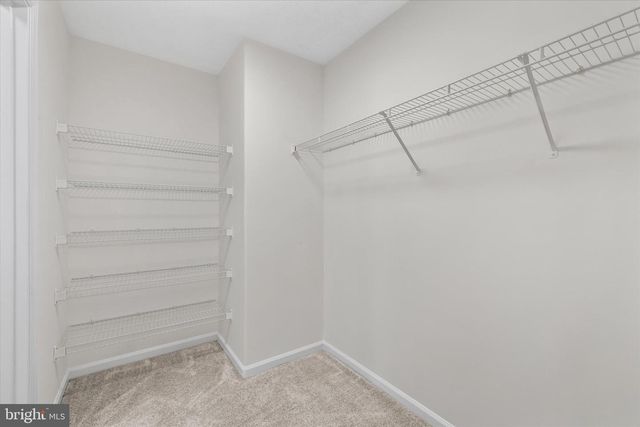 28 BRUSH EVERARD CT, Stafford, VA 22554