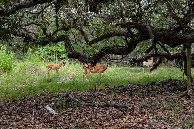 164 Fourth St, Rockport, TX 78382