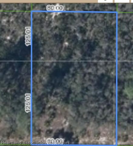 113 BOEING Street NW, Lake Placid, FL 33852