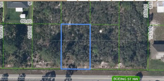113 BOEING Street NW, Lake Placid, FL 33852