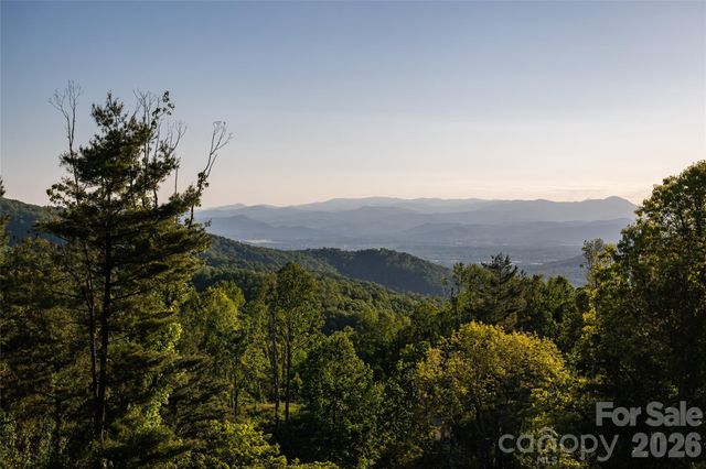31 Bear Tree Court, Hendersonville, NC 28792