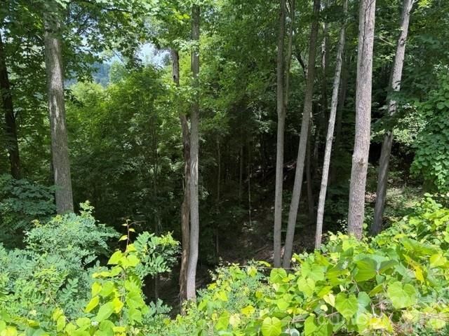 Lot 22 Spring Rock Road, Burnsville, NC 28714