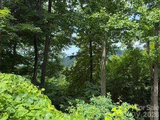 Lot 22 Spring Rock Road, Burnsville, NC 28714
