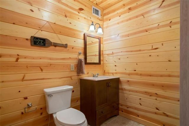 541 Little Bushy Head Road, Cherry Log, GA 30522