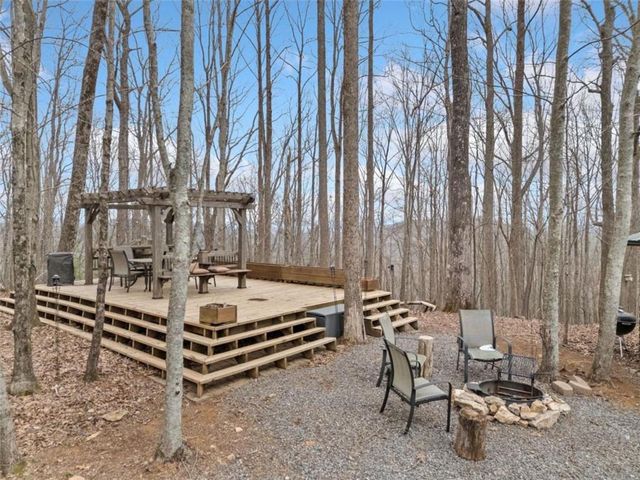541 Little Bushy Head Road, Cherry Log, GA 30522