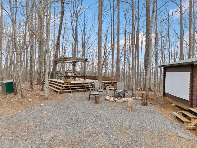 541 Little Bushy Head Road, Cherry Log, GA 30522