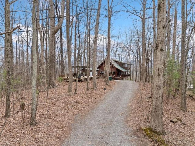 541 Little Bushy Head Road, Cherry Log, GA 30522