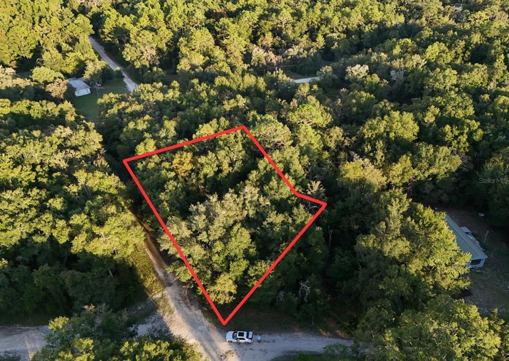 NE 2ND PLACE, Williston, FL 32696