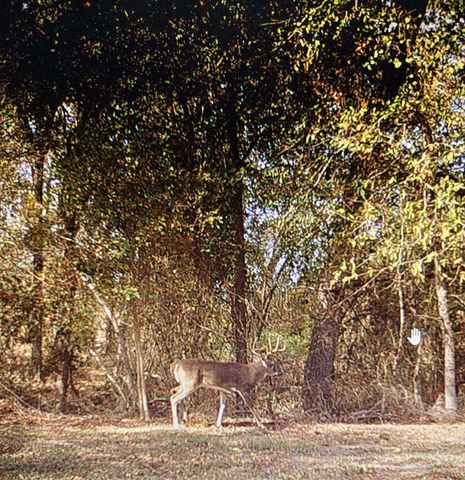 820 County Road 454, Taylor, TX 78615
