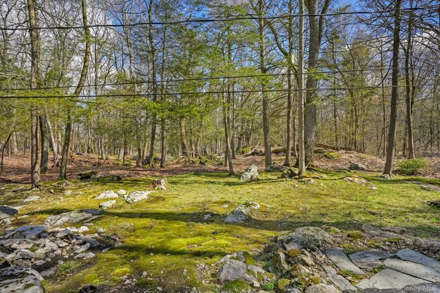 29 Barrett Circle Court, Carmel, NY 10512