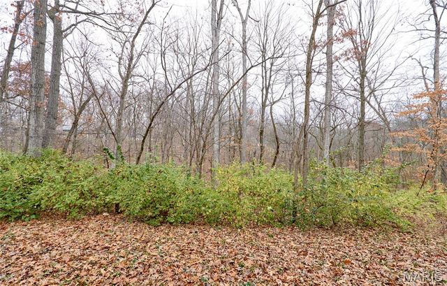 14844 Ralls Drive, Troy, MO 63379