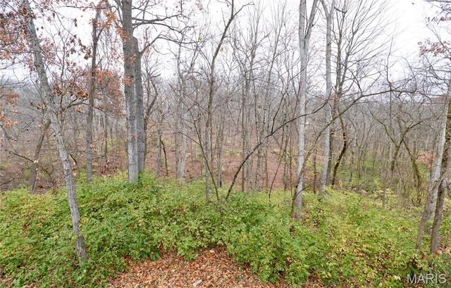 14844 Ralls Drive, Troy, MO 63379