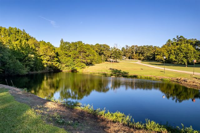 7991 FM 314, Ben Wheeler, TX 75754