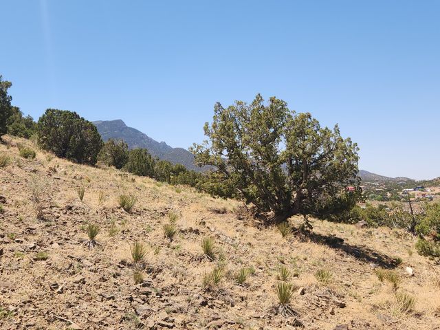 4 CHARLOTTE LN, Placitas, NM 87043