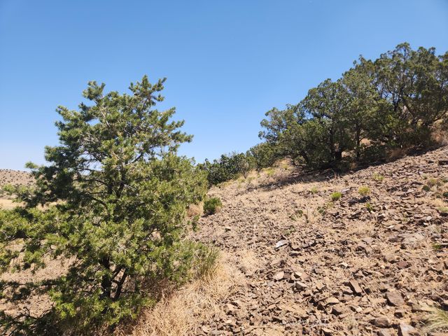 4 CHARLOTTE LN, Placitas, NM 87043