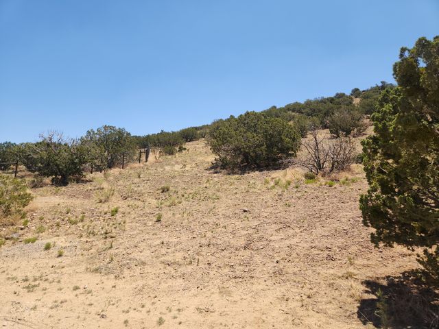 4 CHARLOTTE LN, Placitas, NM 87043
