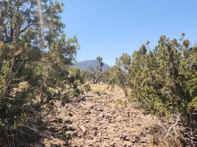 4 CHARLOTTE LN, Placitas, NM 87043
