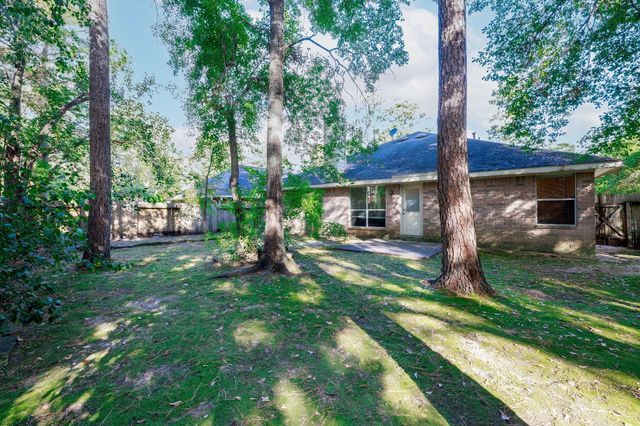 18 Tallow Hill Place, Spring, TX 77382