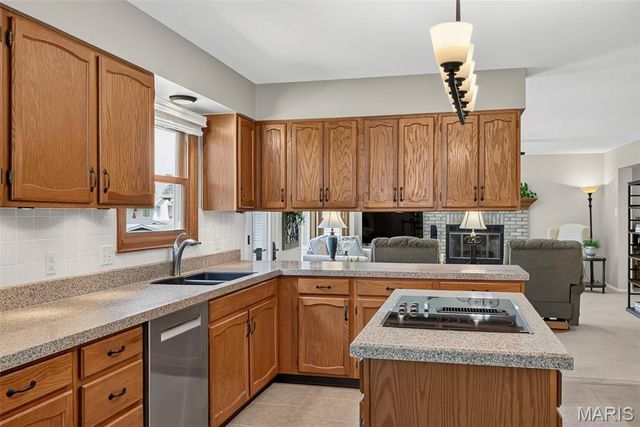 509 Audubon Village Spur, Wildwood, MO 63040