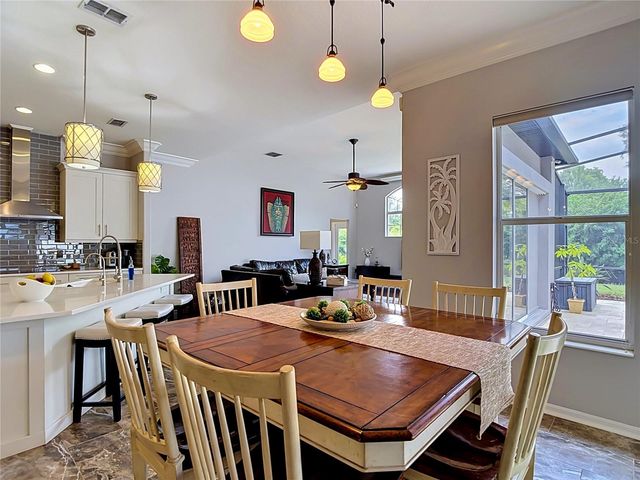 19128 CENTRE ROSE BOULEVARD, Lutz, FL 33558